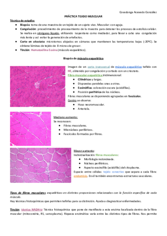 PRACTICA-5-TEJIDO-MUSCULAR.pdf