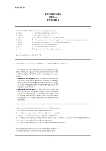 CUESTIONES-UNIDAD-1-PAUTAS.pdf