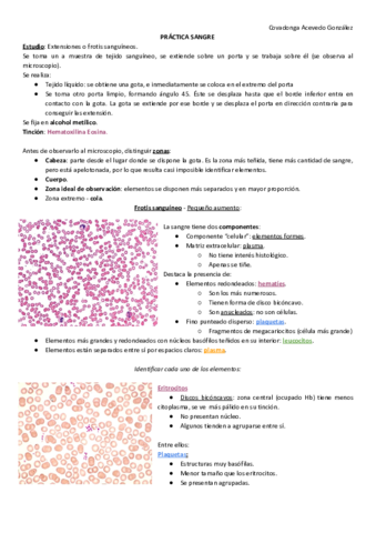PRACTICA-6-SANGRE.pdf