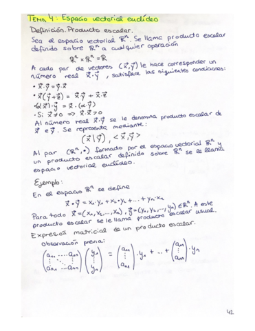 APUNTESESPACIOVECTEUCLIDEOCONEJEMPLOS.pdf