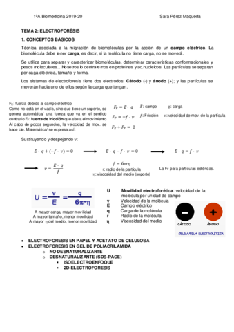 APUNTES-TEMA-2-ELECTROFORESIS-completo.pdf