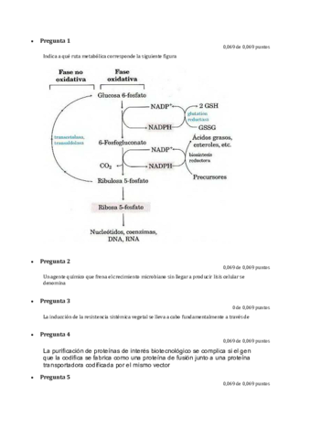Examen-BiotecMicrobiana-2020.pdf