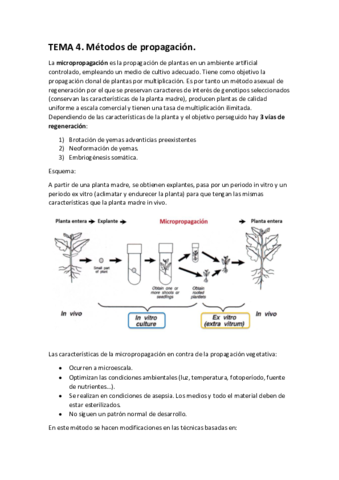 TEMA-4-biotec-veg.pdf