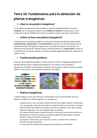 tema-10-de-biotec-veg.pdf