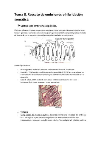 tema-8-biotec-veg.pdf