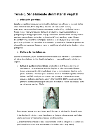 Tema-6-biotec-vegetal.pdf