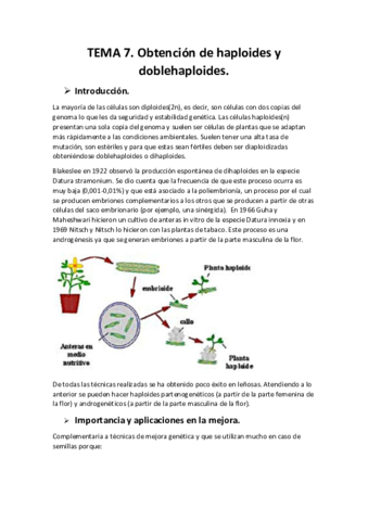tema-7-biotec-veg.pdf