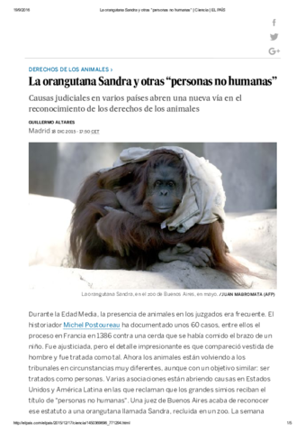 Persona no humana.pdf