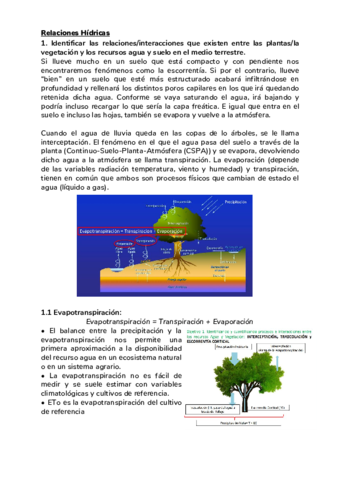 Fisiologia-Vegetal.pdf