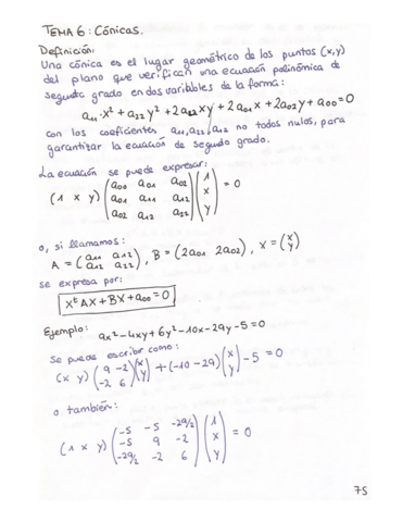 APUNTESCONICASCONEJEMPLOS.pdf