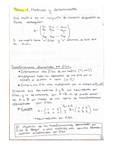 APUNTESMATRICESCONEJEMPLOS.pdf