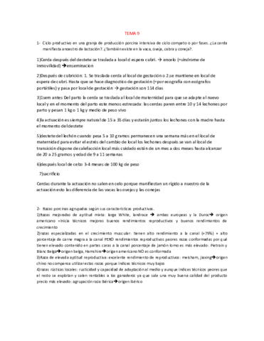 respuestas-9.pdf