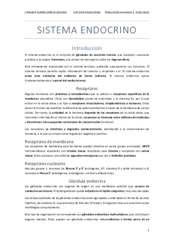 endocrino.pdf