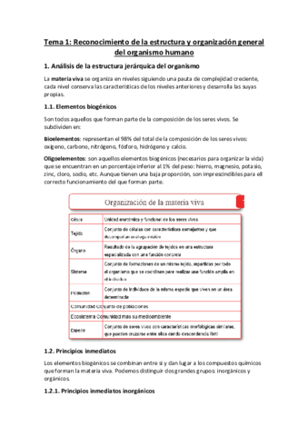 Tema-1-Reconocimiento-de-la-estructura-y-organizacion-general-del-organismo.pdf