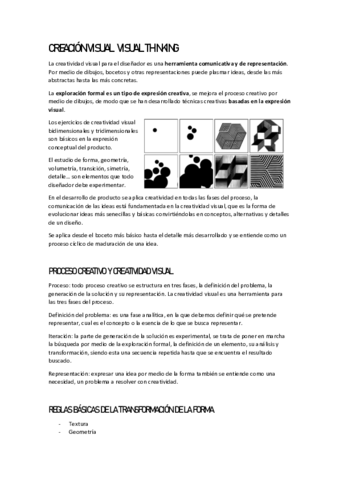 T10CREACION-VISUAL.pdf