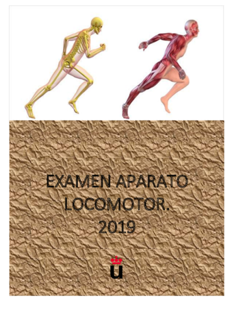 EXAMEN-LOCOMOTOR-2019.pdf