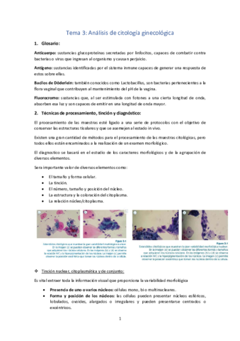 Tema-3-Analisis-de-citologias-ginecologicas.pdf