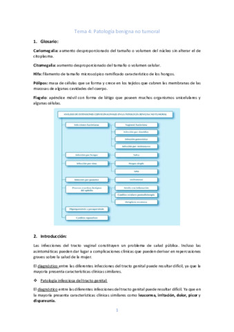 Tema-4-Patologia-benigna-no-tumoral.pdf