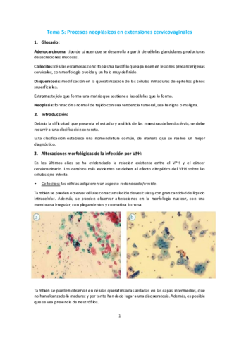 Tema-5-Procesos-neoplasicos-e-extensiones-cervicovaginales.pdf