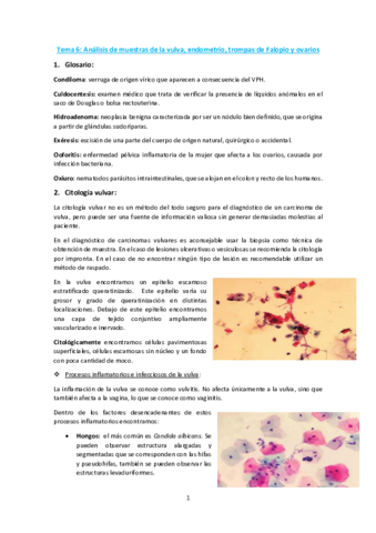 Tema-6-Analisis-de-muestras-de-la-vulva-endometrio-trompas-de-Falopio-y-ovarios.pdf