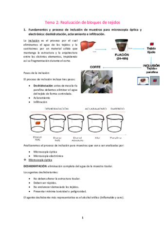 Tema-2-Realizacion-de-bloques-de-tejidos-imagenes-.pdf