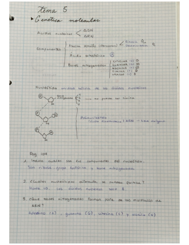 genetica-molecular-.pdf