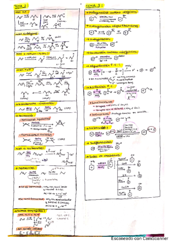 Esquemas-Reacciones-Organica.pdf