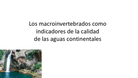 TEMA-10-Y-11-BFC.pdf