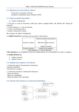 Tema-5-analisis-II.pdf