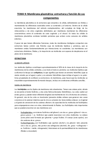 TEMA 6 BIOLOXÍA.pdf