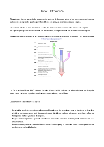 tema-1-bioquimica.pdf