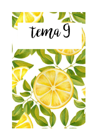 RESUMEN-FINAL-HISTORIA-TEMA-9.pdf