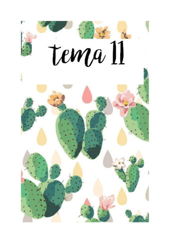 RESUMEN-FINAL-HISTORIA-TEMA-11.pdf