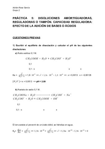 Practica5-Infome-RosaGarciaAdrian.pdf