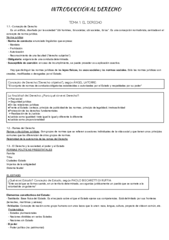 TEMA-1-resumen-mer.pdf