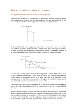 Introd. Microeconomía TEMA 7.pdf