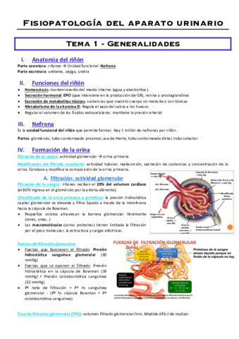 Fisiopatologia-del-aparato-urinario.pdf