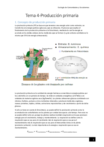Tema-4-Produccion-primaria.pdf