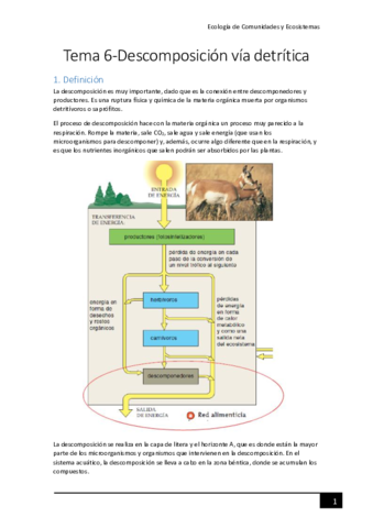 Tema-6-Descomposicion-via-detritica.pdf