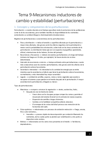 Tema-9-Perturbaciones.pdf