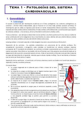 Tema-1-Patologias-del-sistema-cardiovascular.pdf