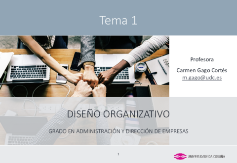 Diseno-OrganizativoTema-1.pdf
