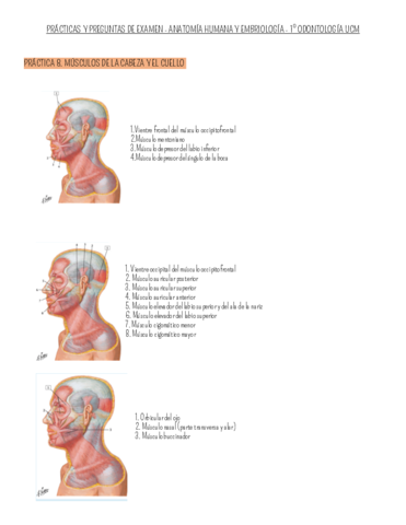 PRACTICAS-Y-PREGUNTAS-DE-EXAMEN.pdf