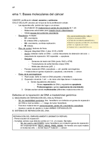 T1-Bases-moleculares-del-cancer.pdf
