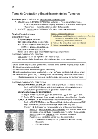 T6-Gradacion-y-Estadificacion-de-los-Tumores.pdf