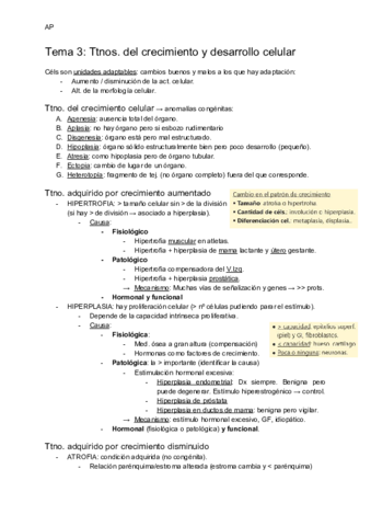 T3-Ttnos.pdf