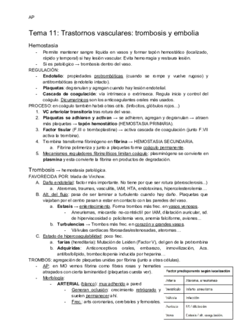 T11-Ttnos.pdf