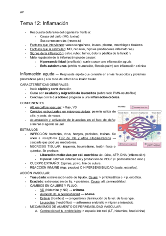 T12-Inflamacion.pdf