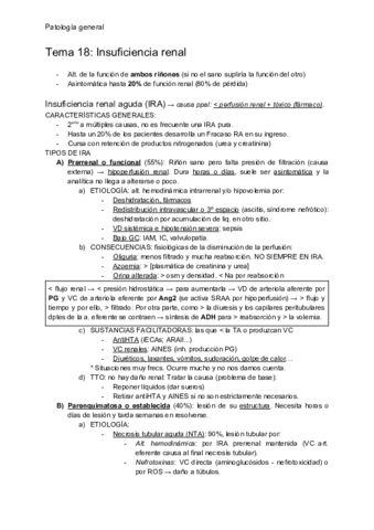 T18-Insuficiencia-renal.pdf