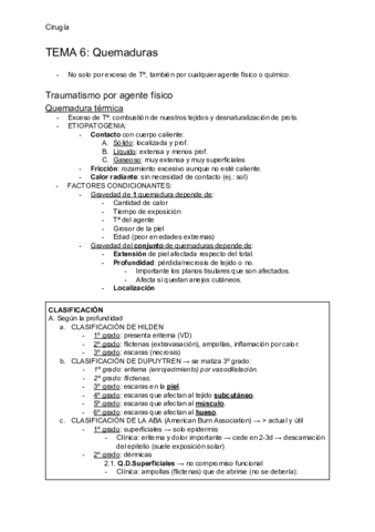 T6-Quemaduras.pdf